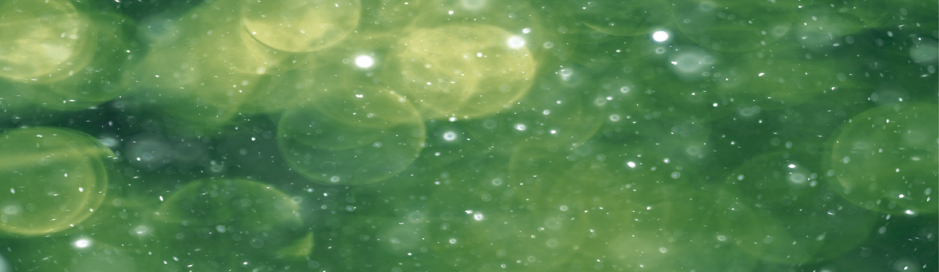 Chocolate Bayou Credit Union Your Community Your Credit Union Chocolate Bayou Credit Union Your Community Your Credit Union